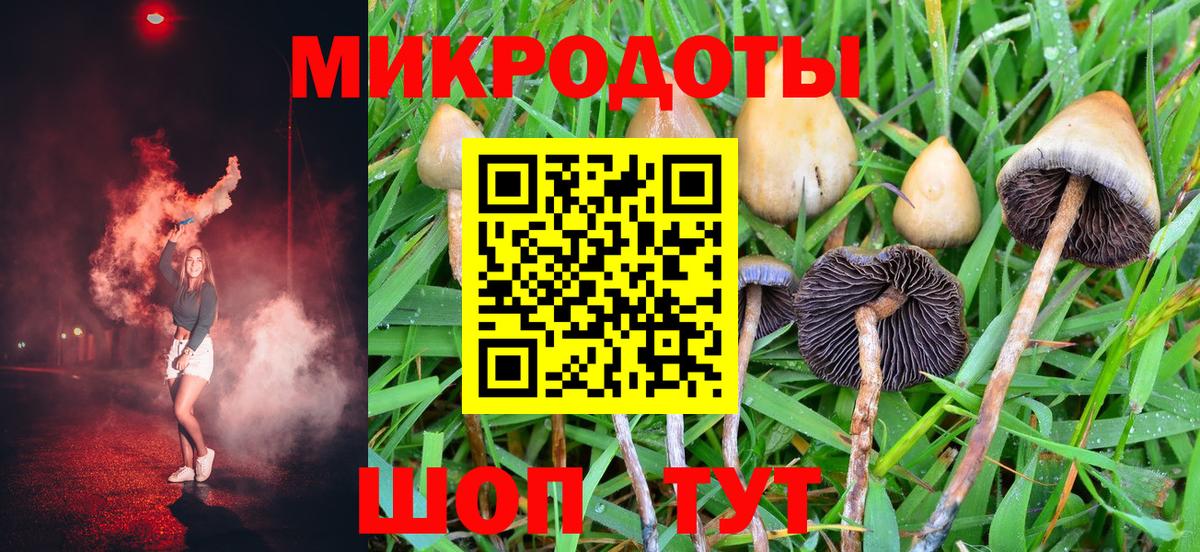 где купить   Вход с VPN  Геленджик  Галлюциногенные грибы мухоморы 