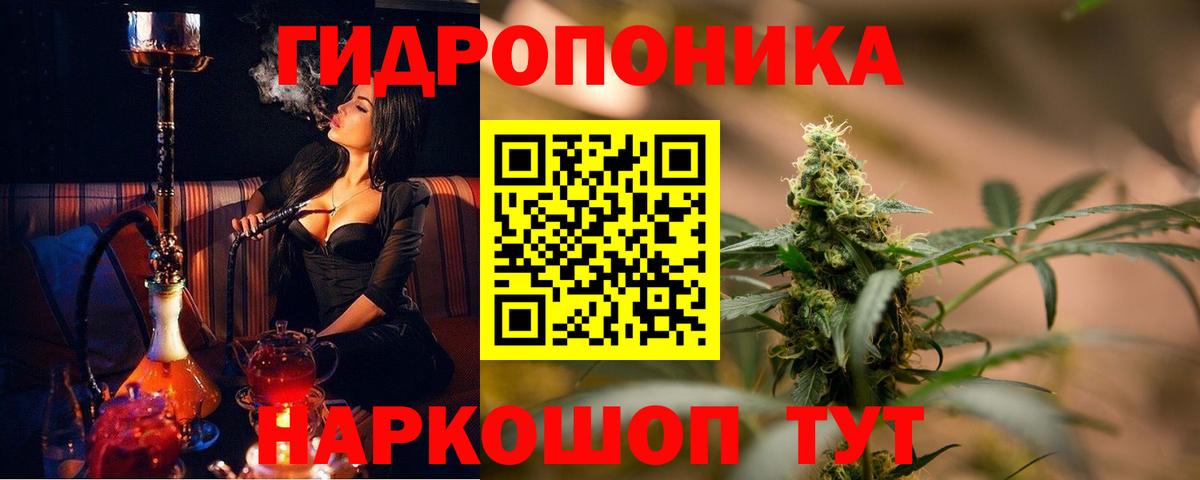 Каннабис OG Kush Геленджик